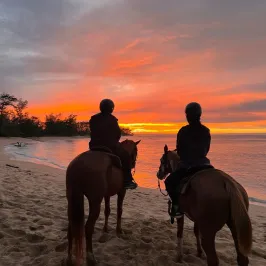 a person riding a horse on a beach