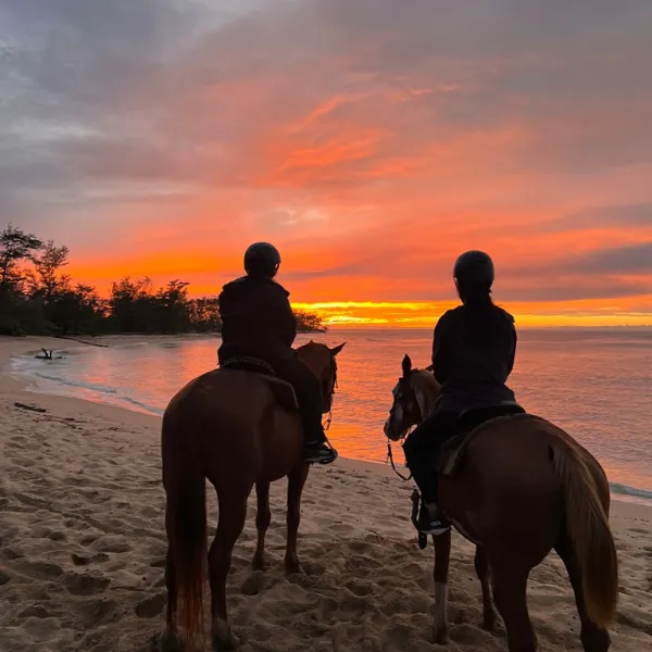 a person riding a horse on a beach