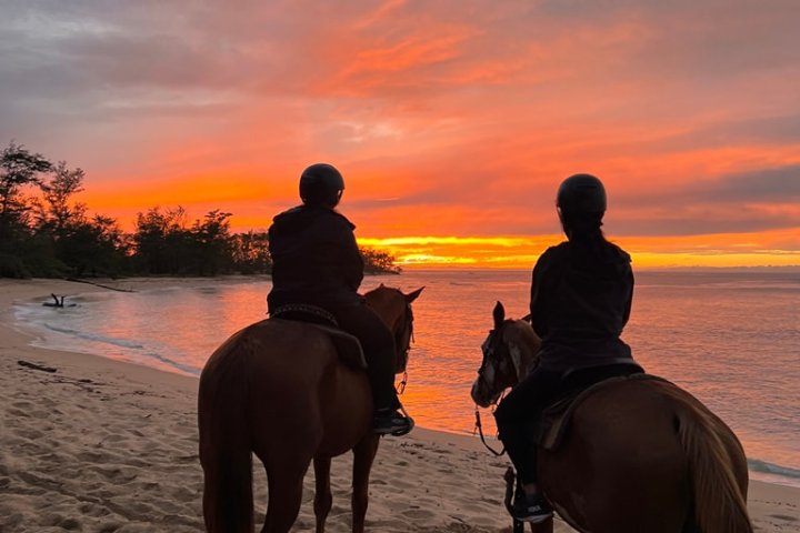 a person riding a horse on a beach