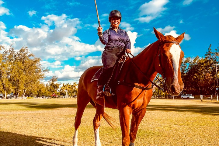 Person on a horse holding a polo mallet on a grassy field under a blue sky with scattered clouds.