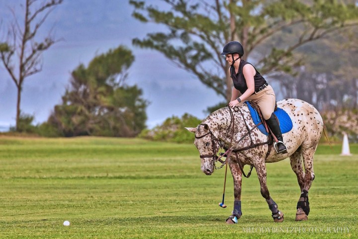 Person riding a speckled horse on green field with trees in background.