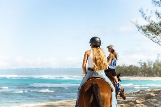 a person riding a horse on a beach