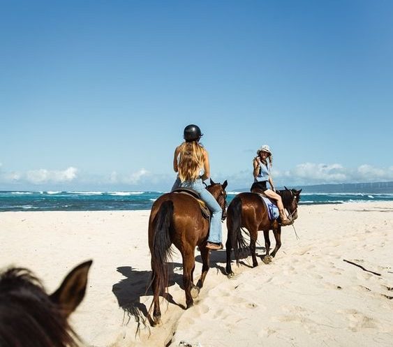 ハワイ州オアフ島でのグループ乗馬｜ハワイ・ポロ・トレイル・ライド