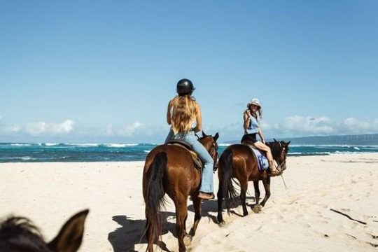 a person riding a horse on a sandy beach