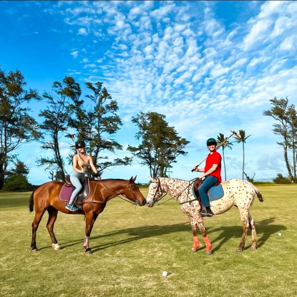 Two people on horseback playing polo on a sunny day with trees in the background.
