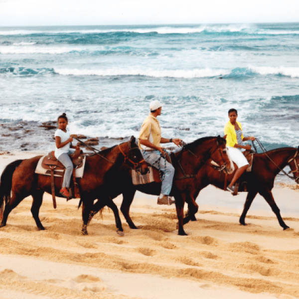 チェイサーとブロッサムに登場したミシェルとサシャ・オバマ