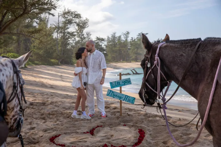 a person riding a horse