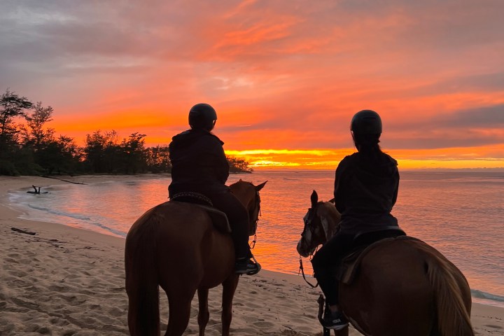a person riding a horse on a beach
