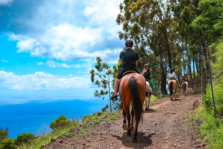 People horseback riding on a scenic trail by the ocean.