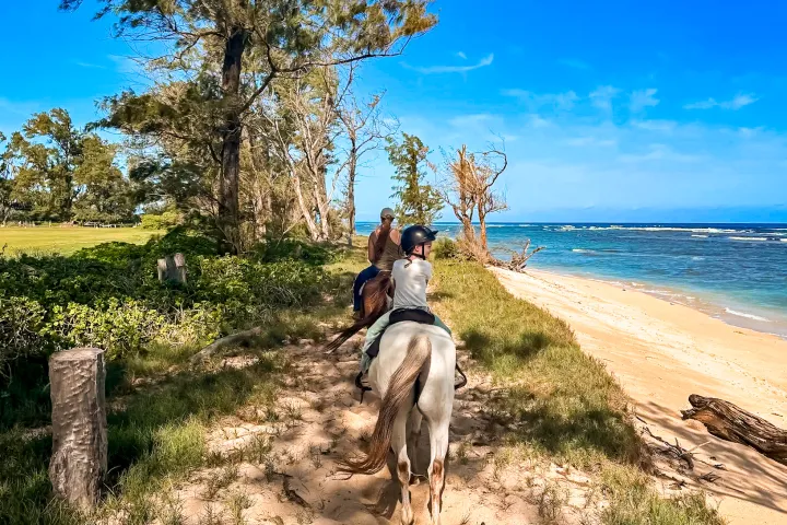 Two people horseback riding on a sandy beach path next to trees and the ocean.