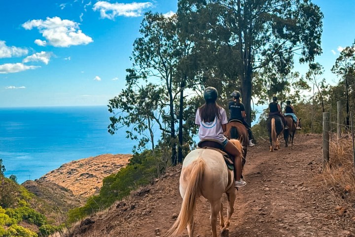 People horseback riding on a dirt trail with ocean view and trees under a blue sky with clouds.