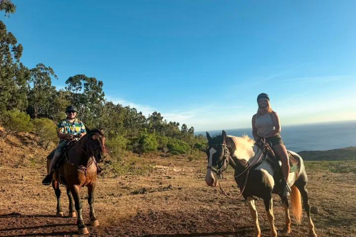 Two people horseback riding on a scenic trail with trees and ocean in the background.