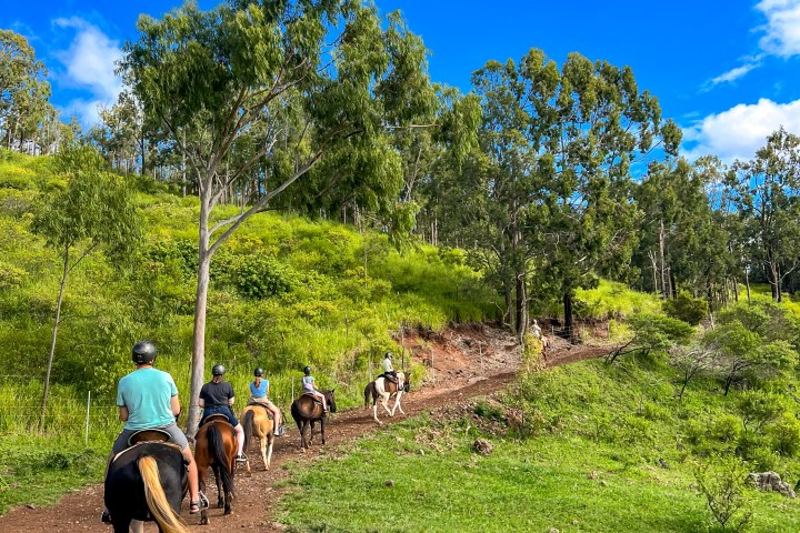 Group horse riding on a dirt path through lush green hills under a blue sky.