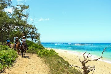 a person riding a horse on a beach