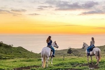 a couple of people on a beach with a horse