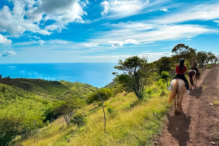 a group of people walking down a dirt road