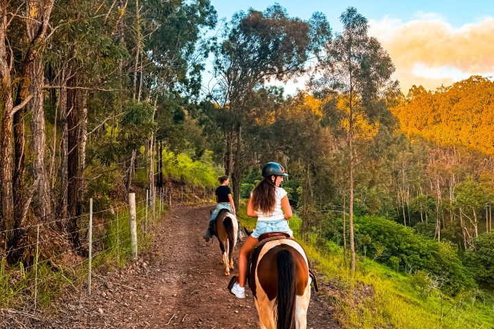 Two people horseback riding on a dirt path through a wooded area at sunset.