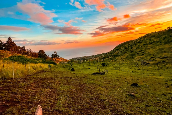 View from horseback of a grassy hillside at sunset with vibrant sky and clouds.