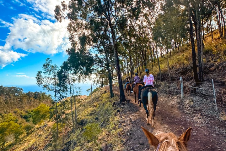 People horseback riding on a dirt trail through a forest under a sunny blue sky.