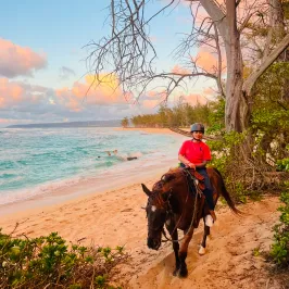 a man riding a horse on a dirt road