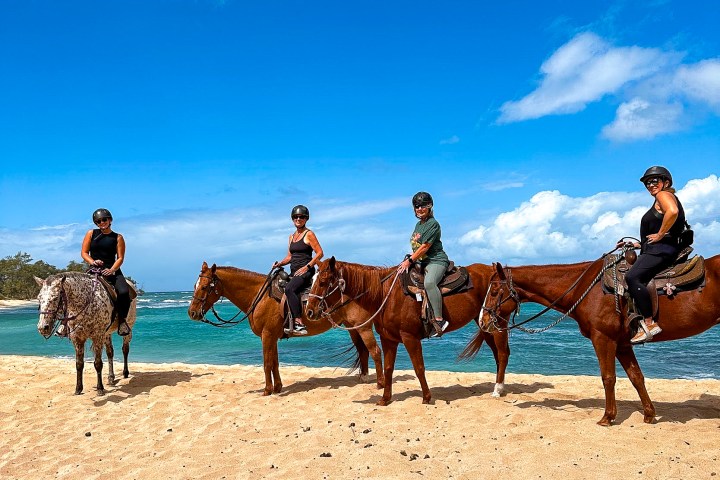 a group of people riding on the back of a horse