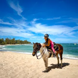 a person riding a horse on a sandy beach
