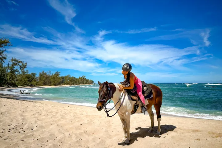 a person riding a horse on a sandy beach