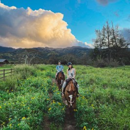a man riding a horse in a field