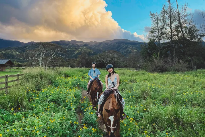 a man riding a horse in a field