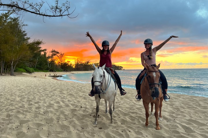 a man riding a horse on a beach