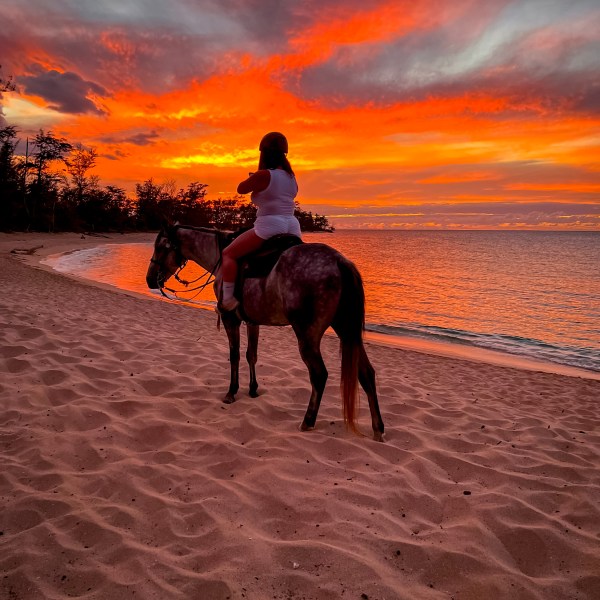 Person on horseback by ocean at sunset, vibrant red-orange sky.