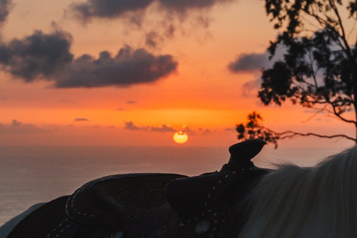 Silhouetted horse saddle against a sunset with trees and clouds.