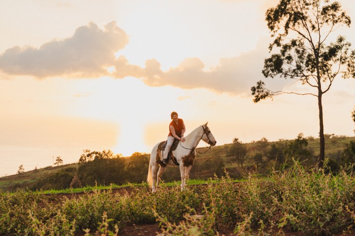 Person riding a horse at sunset on a grassy hill with trees and clouds in the background.