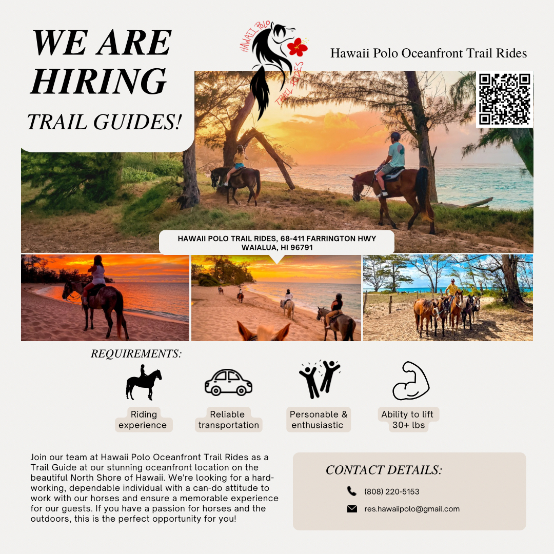 Hiring trail guides for Hawaii Polo Oceanfront Trail Rides. Contact info and job requirements listed with horse images.