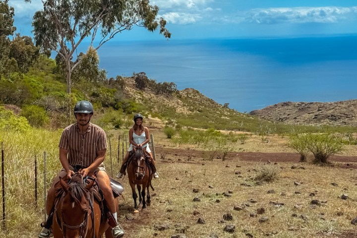 Two people horseback riding on a trail with ocean and trees in the background.