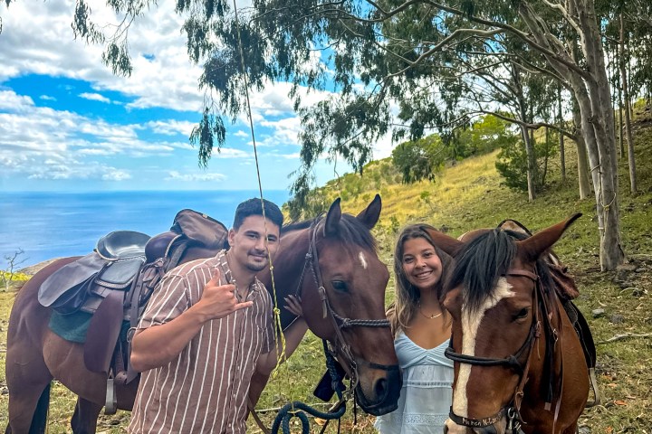 Two people standing between two horses under trees with a scenic ocean view in the background.