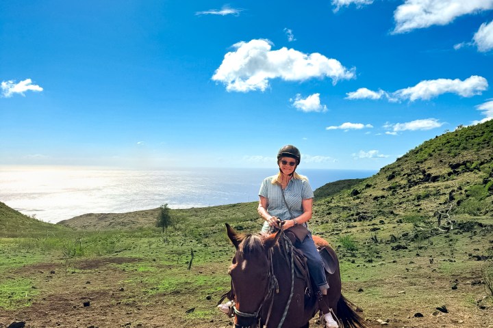 Person on horseback in a sunny, grassy landscape with blue sky and clouds.