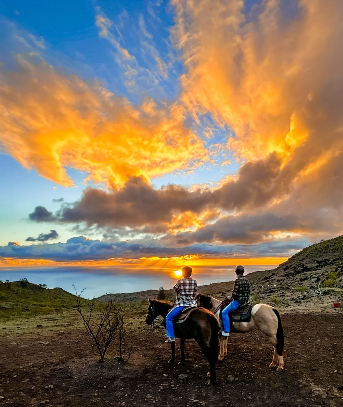 Gift | Black Friday Sale | Christmas Deal | Pālehua Trail Rides