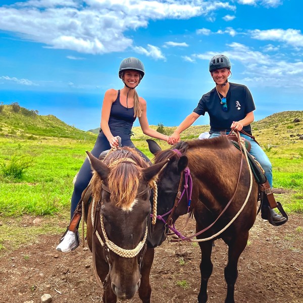 Two people on horseback in a grassy landscape with a blue sky.
