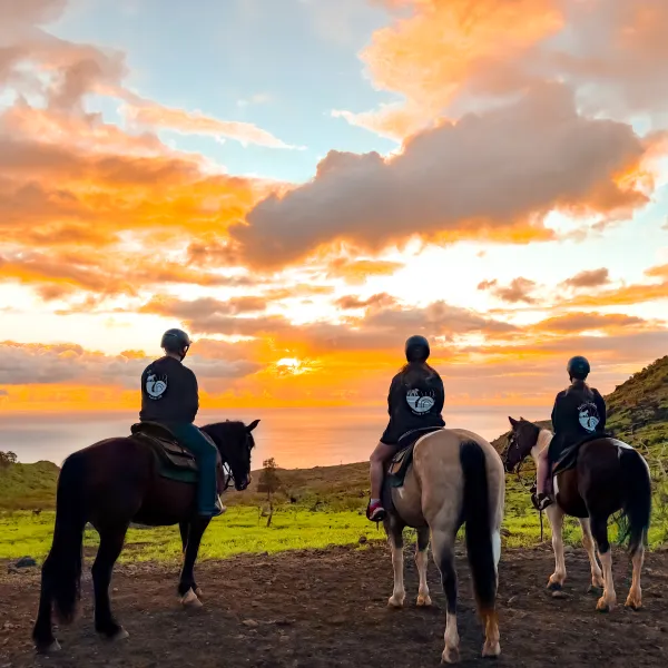 Three people on horses admire a vibrant sunset over a green landscape.