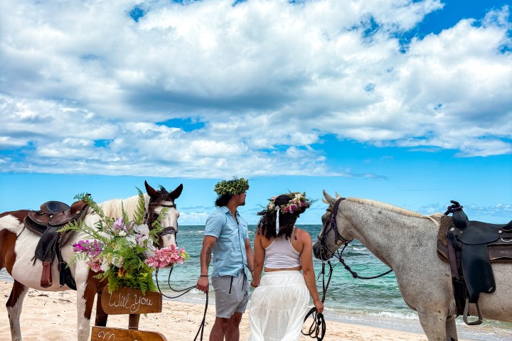 Couple with flower crowns and horses on a beach beside a 'Will You Marry Me' sign.