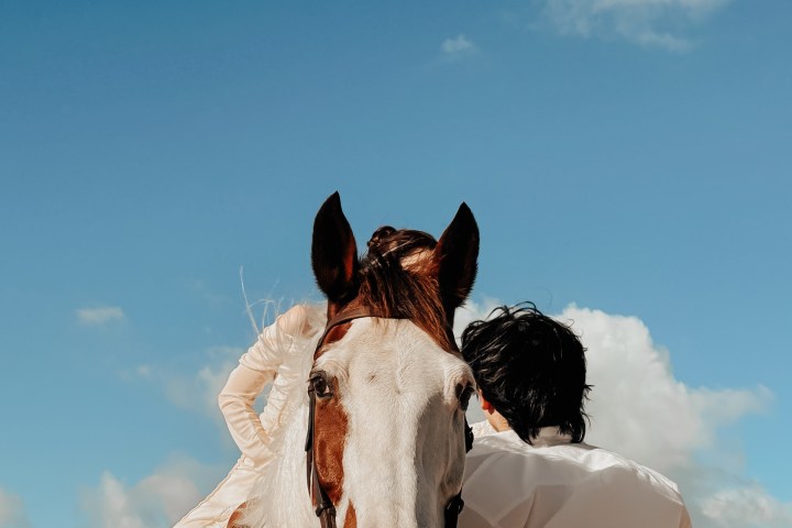 Two people on horseback facing the ocean under a clear blue sky.