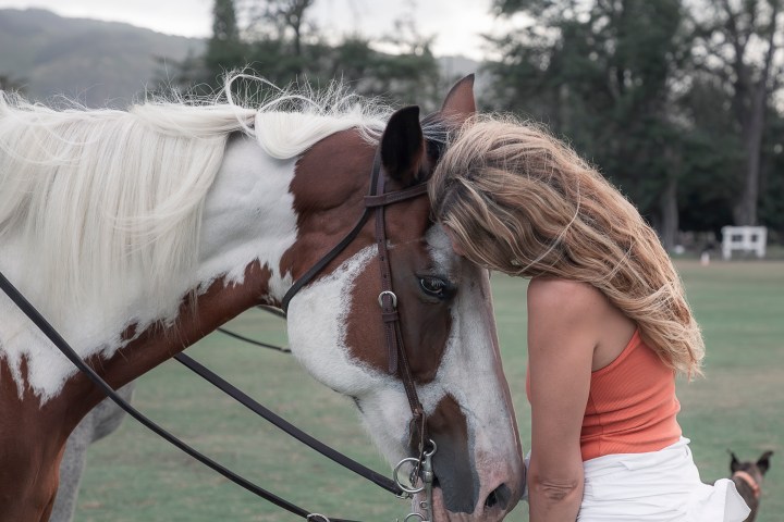 Woman in orange top touching foreheads with a brown and white horse on a grassy field.