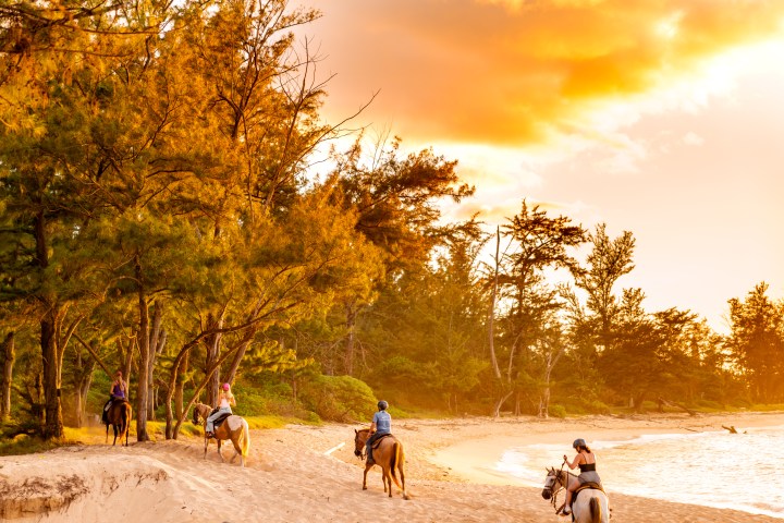 Riders on horses along a beach at sunset, with trees in the background.