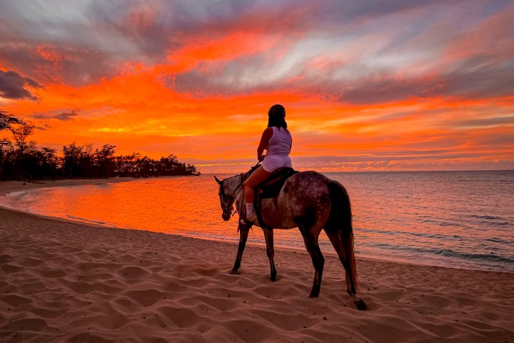 Person on horseback at beach sunset with vibrant orange sky.