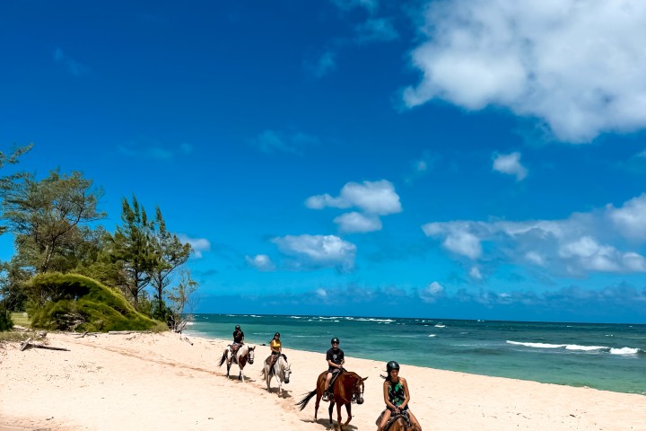 People riding horses on a sunny beach with blue sky.